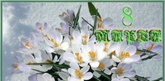 Обращение Уполномоченного по правам человека в РИ в связи с 8 марта