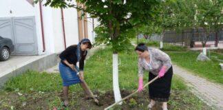 8 мая  специалисты аппарата уполномоченного приняли участие в субботнике, приуроченном к 68-й годовщине Великой Победы.