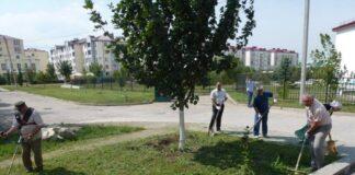 Сотрудники аппарата Уполномоченного провели субботник