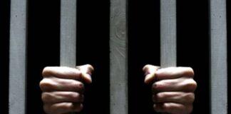 Освобожден из СИЗО