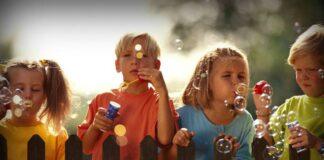 Заявление рассмотрено — меры приняты