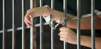 Заявление рассмотрено – меры приняты