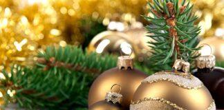 Поздравление Уполномоченного с Новым годом!