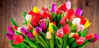 Поздравление Уполномоченного с Международным женским днем 8 марта!