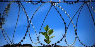 ГД приняла поправки о смягчении наказания для беременных за нетяжкие преступления