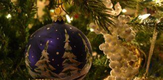 Поздравление Уполномоченного по правам человека в Республике Ингушетия с Новым годом