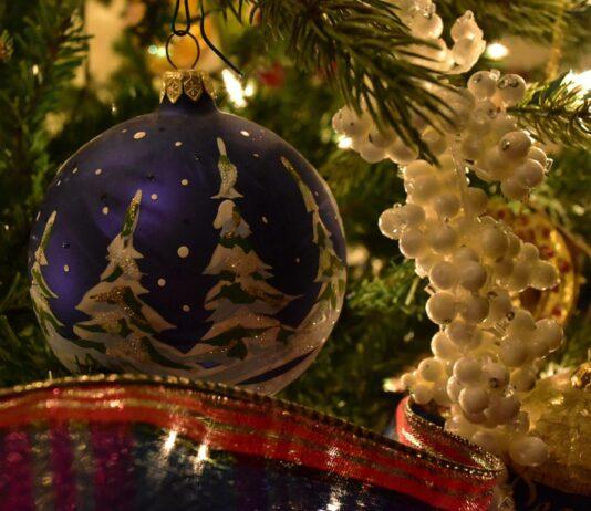 Поздравление Уполномоченного по правам человека в Республике Ингушетия с Новым годом