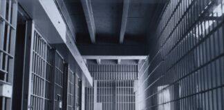 Уполномоченный по правам человека в Республике Ингушетия продолжает работу по защите прав Али Дзейтова