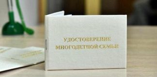 На портале госуслуг появилось электронное удостоверение многодетной семьи