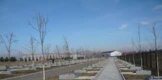 8 ноября — День памяти сотрудников органов внутренних дел Российской Федерации, погибших при выполнении служебных обязанностей