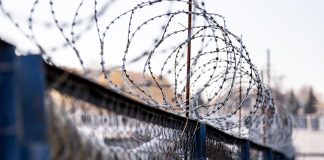 Матери осужденного оказана помощь в переводе сына ближе к месту проживания семьи