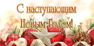 Поздравление Уполномоченного по правам человека в Республике Ингушетия Ибрагима Цечоева с Новым годом